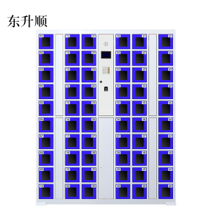 东升顺智能手机柜存放柜存包柜储物柜60门透明款