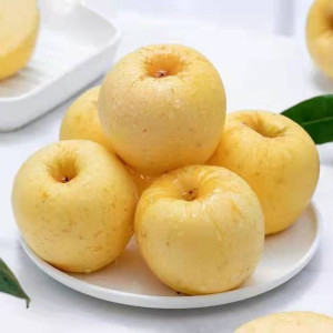 鲜贝达维纳斯黄金苹果5斤大果[75-80mm]顺丰