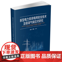 新型电力系统电网安全技术及极端气候应对研究 9787577207605