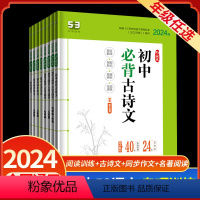 现代文阅读+古诗文阅读 七年级/初中一年级 [正版]2024版53语文七八九年级现代文阅读古诗文阅读名著导读同步作文提分