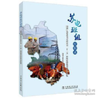 正版新书]苏电班组经验谈 国网江苏省电力有限公司"十三五"班组