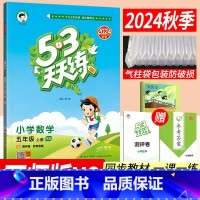 数学西师版 小学五年级 [正版]53天天练五年级上册数学西师版XS版 2024秋季小儿郎5.3五三天天练五年级上册数学同