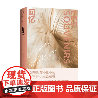 回忆 大卫 冯金诺斯 著 小说