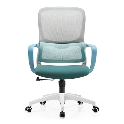 苏宁 质凡 人体工学办公椅弹力腰枕后靠舒适/B2506