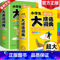 小学生大成语+词典大英语词典 [正版]2025小学生大成语词典大英语词典小学多功能大全1-6年级彩图版全功能字典英汉汉英