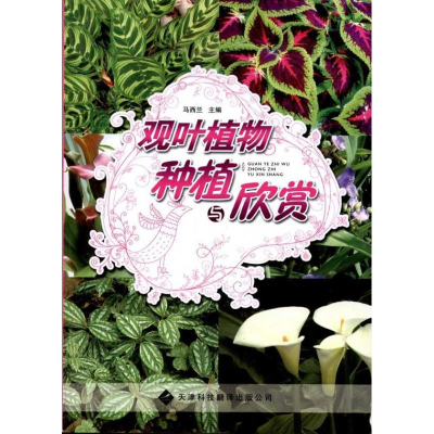 [M]观叶植物种植与欣赏-9787543329645