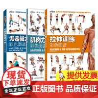 [任选]拉伸训练彩色图谱+肌肉力量训练彩色图谱+无器械力量训练彩色图谱 运动健身健美训练书健身书籍 人民邮电出版社