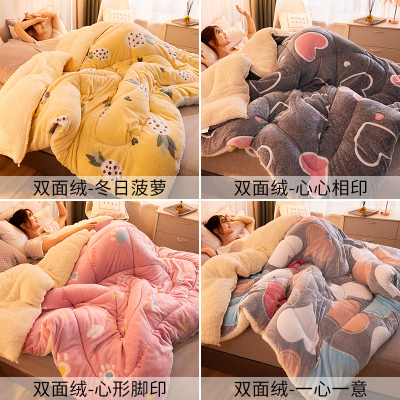 羊羔绒被子冬被加厚保暖全棉被10斤双面绒被芯冬季羽绒棉被羊毛被