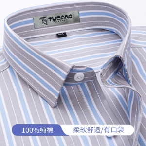 啄木鸟纯棉内搭条纹衬衫男长袖2025春中年男士商务正装全棉寸衬衫