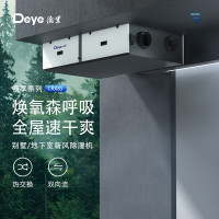 德业(Deye)中央吊装新风除湿机 双向流热交换 别墅地下室管道式抽湿机超薄 全屋轻音除湿 隐藏式DY-CRX85
