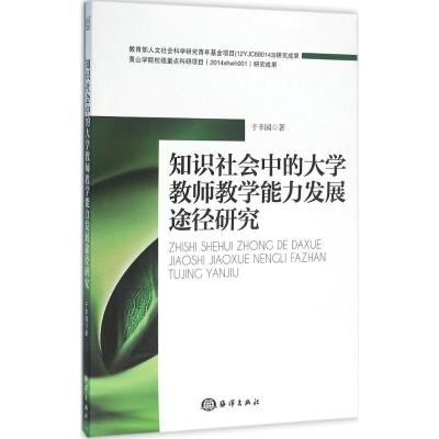 正版新书]知识社会中的大学教师教学能力发展途径研究于丰园9787