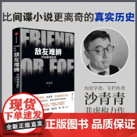 敌友难辨 冷战谍海逸史 沙青青 著 历史