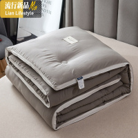 被子春秋被加厚保暖棉被芯夏被四季可用双单人被冬被太空被 三维工匠