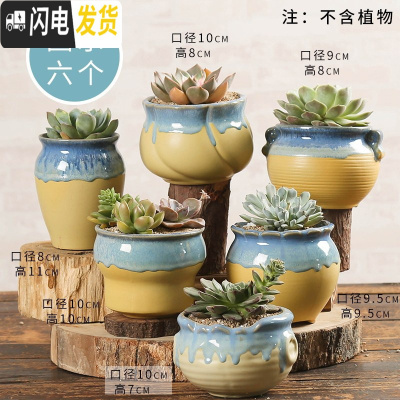 三维工匠多肉花盆陶瓷透气大口径家用创意粗陶肉肉植物小盆器 欧式流釉(6个) 小花盆容器
