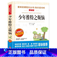 少年维特之烦恼 [正版]少年维特之烦恼 三四年级必课外书五六年级小学生初中课外阅读中外世界名著老师6-8-12周岁儿童