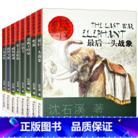 沈石溪动物画本(全8册) [正版]沈石溪动物小说全集全套8册四年级至六年级必读课外书老师读物五年级适合小学学生看读的小学