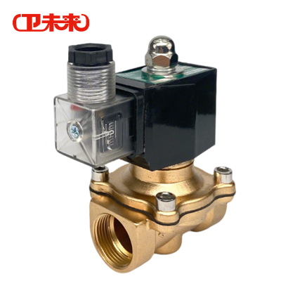 卫未来 铜阀电磁阀 DC12V塑封 个