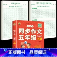 [5年级下册]同步作文+同步作文字帖+素材积累字帖 [正版]五年级上册同步作文语文练字帖人教版同步满分作文素材积累字帖小