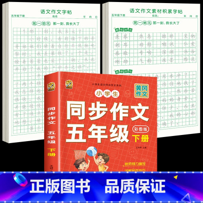 [5年级下册]同步作文+同步作文字帖+素材积累字帖 [正版]五年级上册同步作文语文练字帖人教版同步满分作文素材积累字帖小