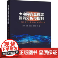书出版社直供]大电网安全稳定智能分析与控制 基于电力大数据和人工智能技术 胡伟 等 著 中国电力出版社