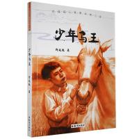 正版新书]许廷旺大草原动物小说:少年马王许廷旺9787501596034