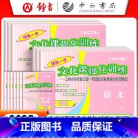 [12册试卷+答案]2025一模语数英物化道法 九年级/初中三年级 [正版]2025版领先一步中考一模卷语文数学英语物理