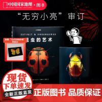 昆虫的艺术 当代微距摄影画册 中国国家地理 “无穷小亮”张辰亮倾情审订