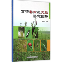 [M]苜蓿害虫及天敌鉴定图册-9787511623041