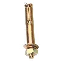 贝策 膨胀螺丝 M10*120mm 个