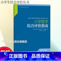 小学数学综合评价指南 小学通用 [正版]小学数学综合评价指南 小学生综合评价丛书 小学教师教育工作者指导用书 小学综合素