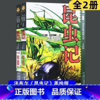 [正版]全2册 昆虫记美绘版 四年级 书上下册合集小学版法布尔全集彩绘版昆虫记中国少年儿童出版社原版小学生课外阅读书籍