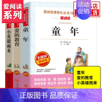 套装3册 [正版]爱阅读快乐读书吧 小英雄雨来 童年爱的教育 小学语文6年级上册拓展阅读儿童文学课程化丛书 小学六6年级