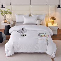 缎暮 夏季抗菌蚕丝夏被空调被 150*200CM 条