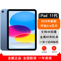 [原封]Apple iPad 11代 256GB WLAN版 蓝色 A16芯片 1200万像素 4K录制视频 学习娱乐办公平板电脑