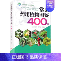 [正版]常见药用植物图鉴400种 刘建福,王河山,王明元 编 生物生命科学科普类图书 专业书籍 广东科技出版 97875