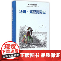 汤姆 索亚历险记
