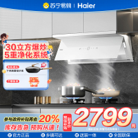 ￼￼￼￼海尔(Haier)[小红花油烟机-绽放版] 抽油烟机顶侧双吸 白色面板全自动 大风量大吸力 EC936UD