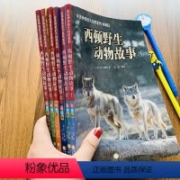 [正版]西顿动物故事全6册三年级课外书少儿图书8-10-12岁儿童文学励志沈石溪动物小说大自然小学生课外阅读书籍四五六