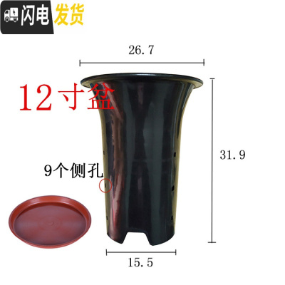 三维工匠园艺兰花盆塑料大中小号透气黑色带孔国兰君子兰墨兰花专用盆 12寸加红色托盘 同规格10个(送网套)花盆容器