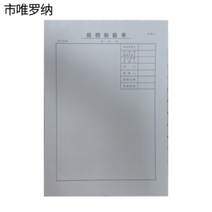 市唯罗纳报销粘贴单650*210mm本