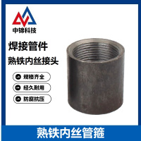 中锦科技 碳钢焊接内丝接头 DN15[4分] 个