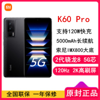 小米Redmi K60 Pro 8GB+256GB 墨羽 2代骁龙8+芯 120W快充 2K高光屏 5000毫安大电池 时尚游戏拍照智能手机