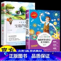 [2册]宝葫芦的秘密+灰尘的旅行 [正版]宝葫芦的秘密 张天翼原著三四年级必读课外书老师阅读书籍小学生宝葫芦里的故事小学