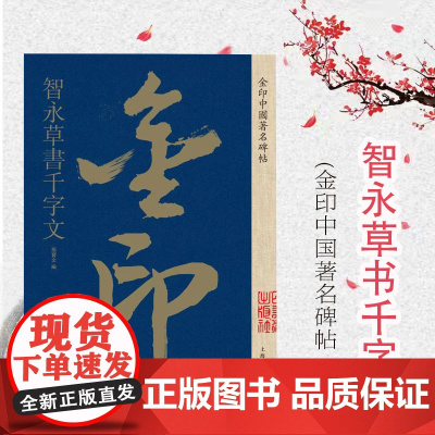 智永草书千字文 金印中国著名碑帖 孙宝文编 名家作品精选 书毛笔书法软笔字帖 简体旁注 书法入门临摹书籍 上海人民美术出
