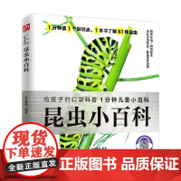 平装小百科 昆虫小百科 3-10岁 介于童书 著 科普百科