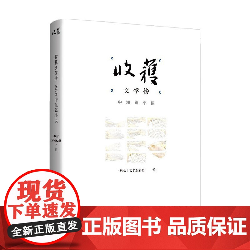 收获文学榜2020中短篇小说 《收获》文学杂志社 著文学