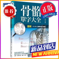 圖解骨骼單字大全 原島廣至-著;河合良訓-監修 楓書坊