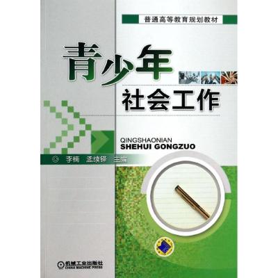 正版新书]青少年社会工作李楠9787111443193