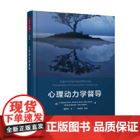 万千心理 心理动力学督导 格特鲁德·曼德等 著 心理学