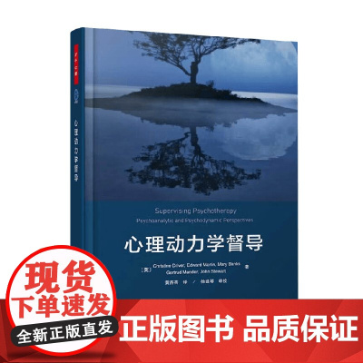 万千心理 心理动力学督导 格特鲁德·曼德等 著 心理学